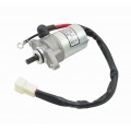 BWS 100 Starter Motor